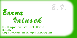 barna valusek business card